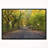 " The Mall Area In Central Park "-26690983