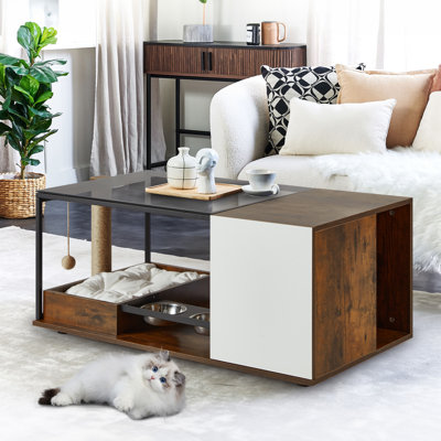 Eujin Coffee Table, 2-in-1 Design by Tucker Murphy Pet