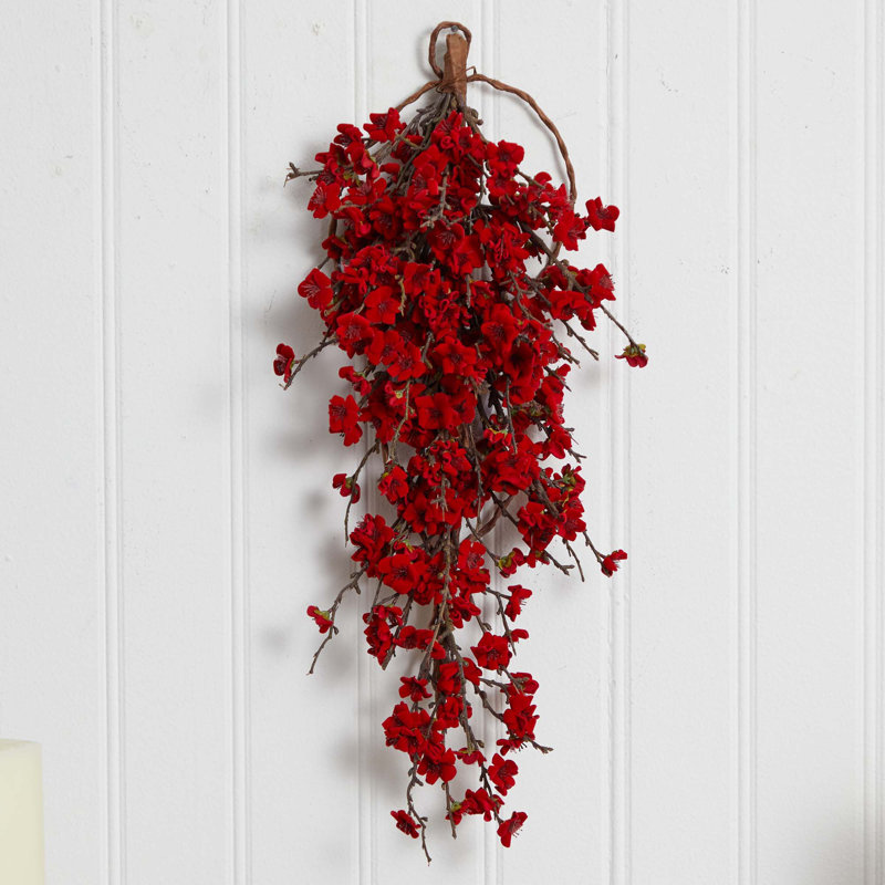 Tiges de fleurs de plumes
