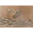 8" Eco-Performance Full/Standard Rain Shower Head, 1.75 GPM-41660118
