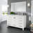 Minnich 48"W x 22"D Bathroom Vanity with Undermount Porcelain Sink-101785140-101785138