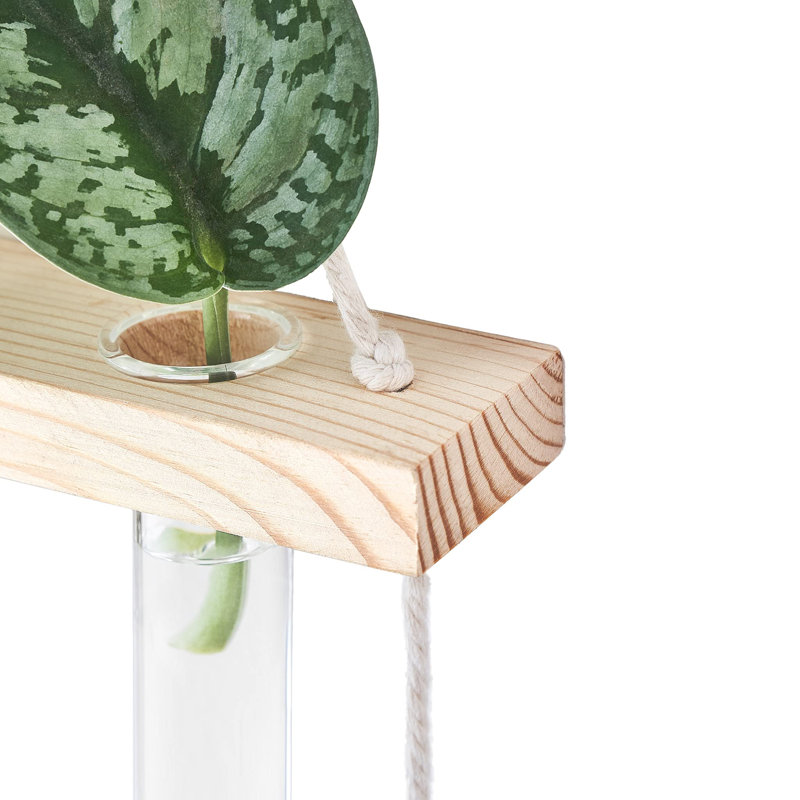 Terrarium mural à 3 niveaux avec support en bois