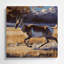 Faune sauvage-776911611