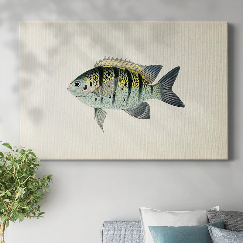Toile tendue collection Tropical Fish Collection VI-Gallery, H 12 po x l 18 po