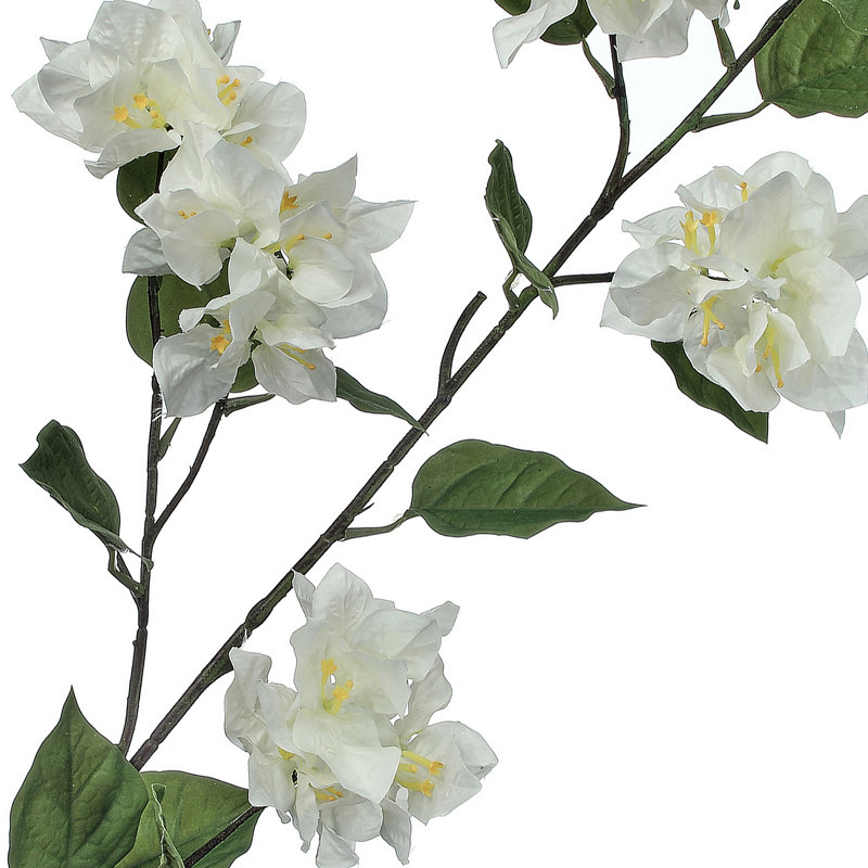 Bougainvillée 47 po UV Floridian