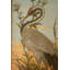  «Coastal Bird Prints», ensemble de 2 reproductions d'art - Héron