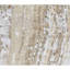 Hand Knotted Area Rug in Beige/Gold-237441556