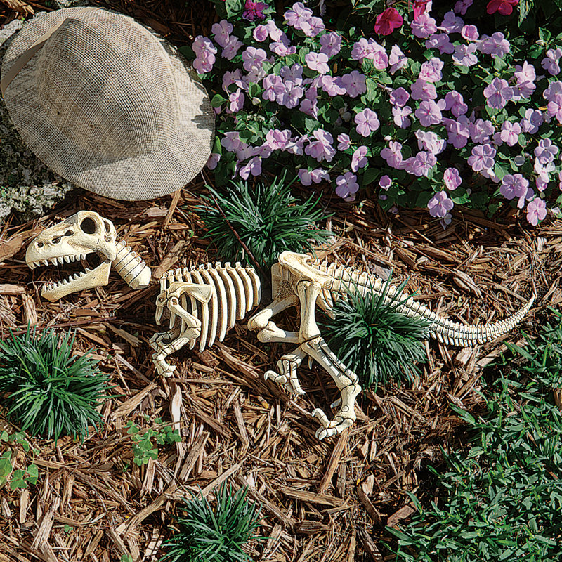 Statue de jardin squelette vélociraptor