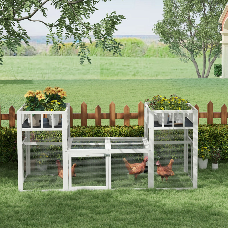 Poulailler 27 pieds carrés pour 4 poulets Enguerran