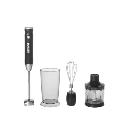HADEN 800ml Portable Blender