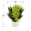 Orchid Arrangement with Rocks in a Ceramic Pot-1614395914