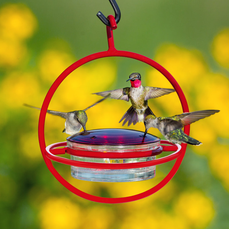 Dieball Hanging Hummingbird Feeder, Red