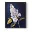 Série FLORAL CLxxx - reproduction encadrée de qualité supérieure - prête à être accrochée - aucun clou requis-286168643-286168671