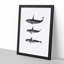 Orca Killer Whales by C.M. Scammon - Picture Frame Graphic Art Print-55616329-55616330