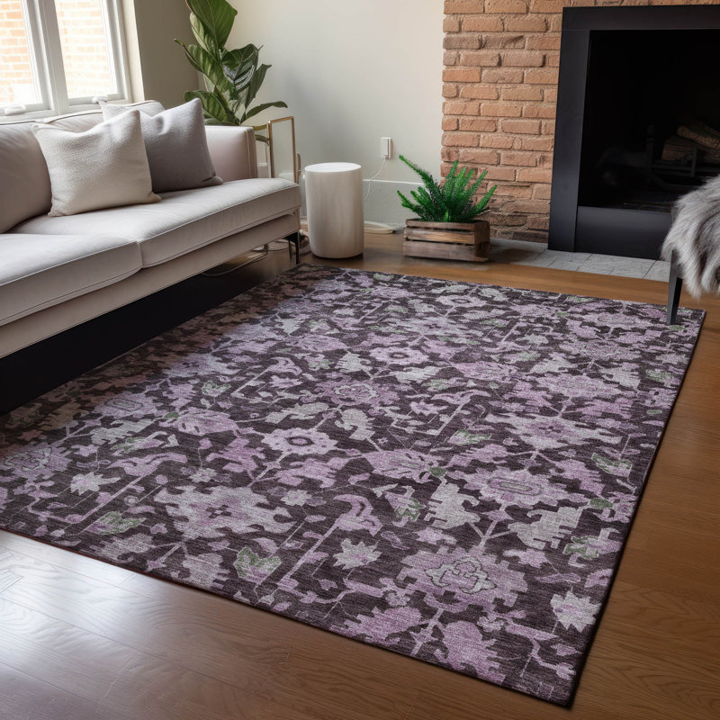 Machine Washable Indoor/Outdoor Francky ACN2358 Traditional Rug, Rectangle 3' x 5'