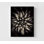 Étoile par Saad Salem, reproduction de photographie de plante moderne, décor de photo de couloir photo, impression de photo de nature, décor de salon, art de petit bureau