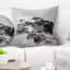 Coussin Seashore and Rocky Coastline-29344279-89824615
