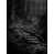 Black Framed Canvas is unavailable