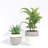 Pot Planter-67182933-67182934-69263628