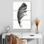 Plume noire-956775116
