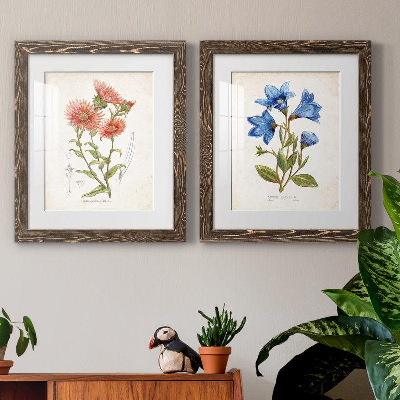 «Botanical I», ensemble de 2 reproductions d'art, Blanc, H 24 po x l 36 po x P 1,5 po, Papier, cadre noyer