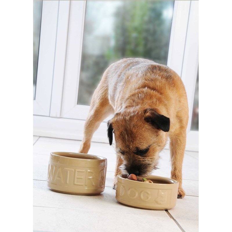 Cane Lettered Dog Food & Water Bowl, 3.5cm H x 15cm W x 15cm D