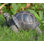 Tortoise Statue