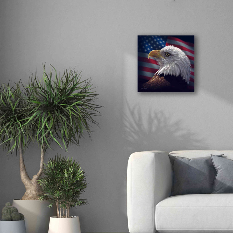«American Bald Eagle» par Collin Bogle, art mural sur toile, H 18 po x l 18 po x P 0,5 po