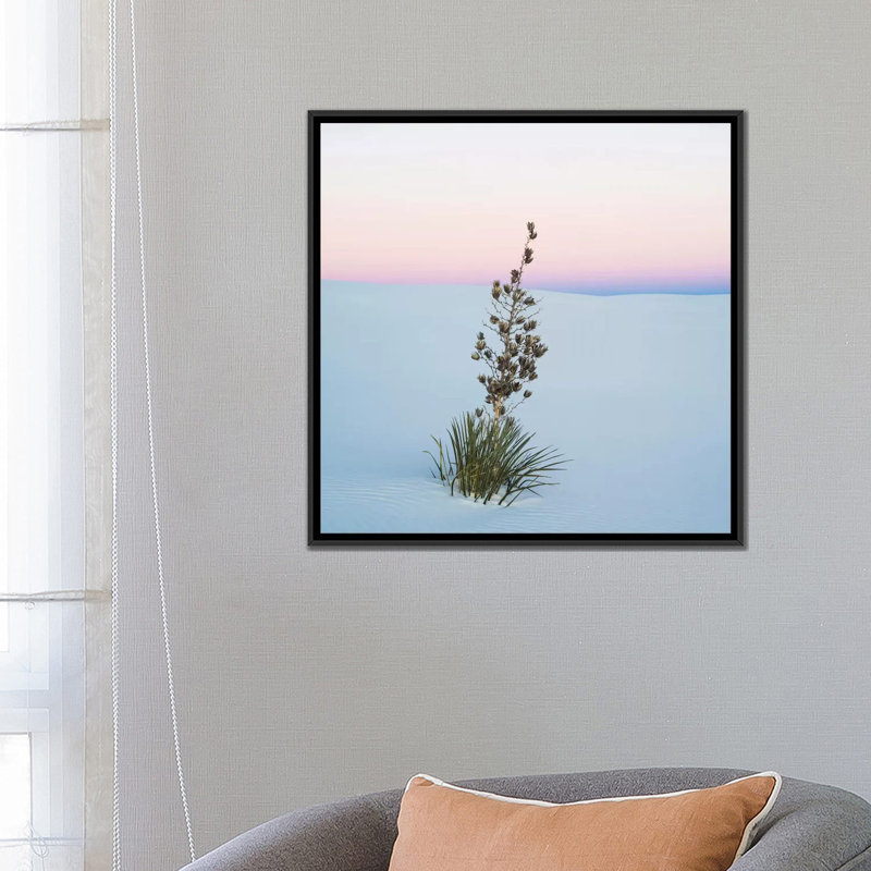 Reproduction de photo sur toile tendue, "soaptree yucca ii, sable national de-new mexico, usa, H 26 po x l 26 po x P 1,5 po