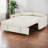 Modern 57" Pull-Out Sleeper Sofa Bed – Convertible 2-Seater Loveseat With USB Ports & Throw Pillows-392527031