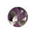 Purple/Beige