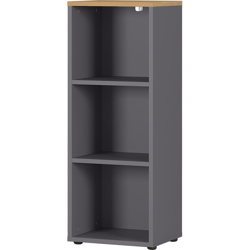 Miabella 120 cm H x 45 cm W Standard Bookcase, Graphite/Oak