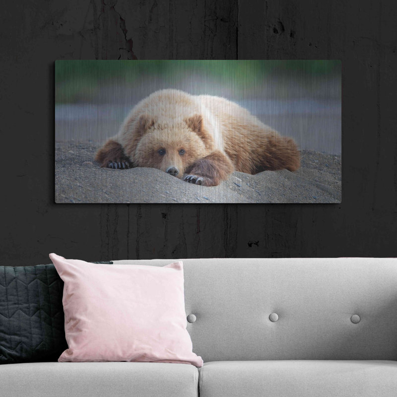 «Bear Life X» par PH Burchett, H 24 po x l 48 po
