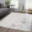 Tapis gris Elyjah-1326316589