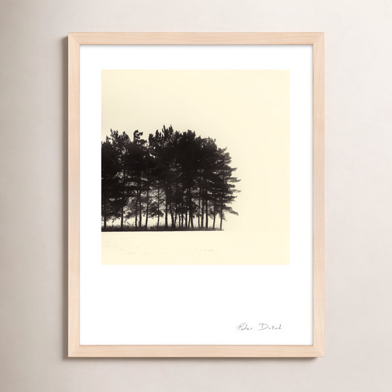 Photographie de jardin, Brun, H 25 po x l 20 po x P 1,25 po