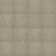 Apollo 24-in x 24-in Multi-Level Loop Adhesive Carpet Tile (48-sq ft)