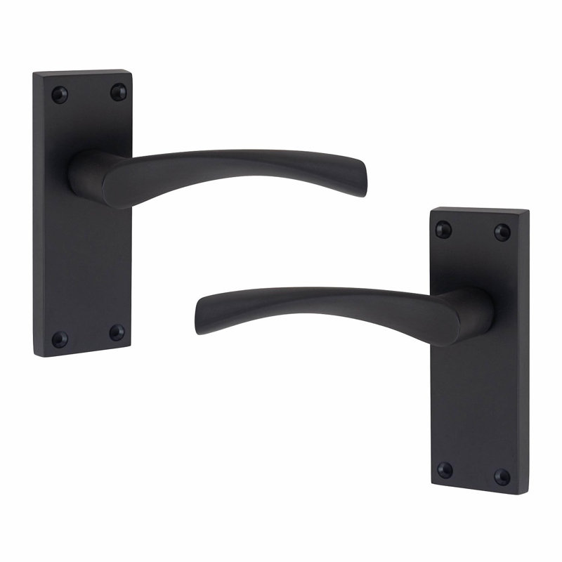 Latch Handle with Backplate