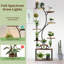 Plant Stand - Set of 11