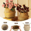 Panier 2 pièces Bay Isle Home ™ Zetilla Seagrass