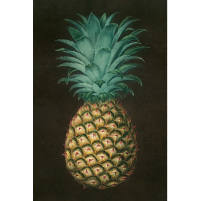 " Vintage Pineapple I "