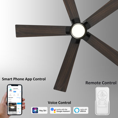 Ventilateur de plafond à moteur à courant continu  de 56 po avec lumières DEL, télécommande et tige intégrée