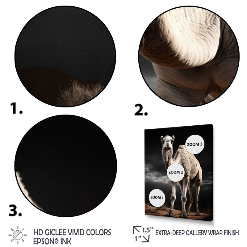 Yuriel Camel Graceful Steps - Imprimé, H 40 po x l 30 po x P 1,5 po, Cadre simple noir