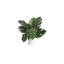 Ensemble de 3 plantes artificielles Algreen - 11 po, mauve, 12 po californien et 12 po Monstera