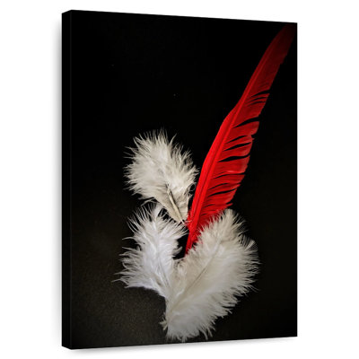 Red And White Feathers
