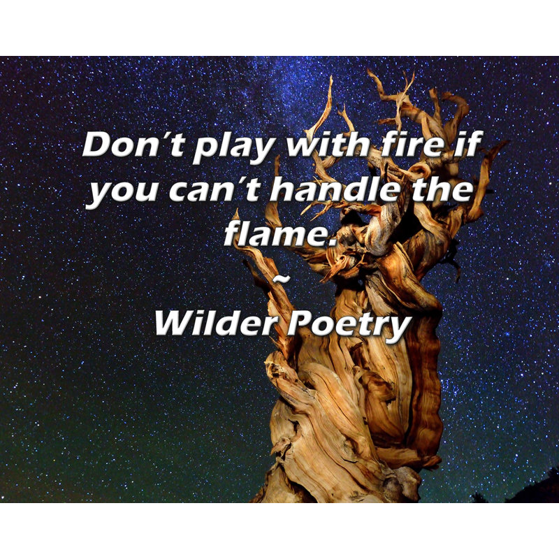 Toile tendue Union Rustic Gallery par Wilder Poetry: «Ne jouez pas avec le feu si vous ne pouvez pas, H 13 po x l 18 po