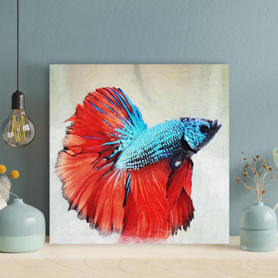 Poisson rouge et bleu Betta - peinture sur toile tendue