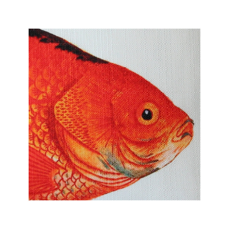 Coussin lombaire intérieur/extérieur un poisson rouge 
