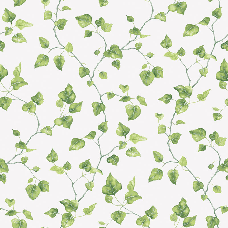 Connoquenessing Just Ivy Trail Leaf 10m X 53cm Wallpaper Roll, White/Green