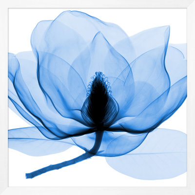 Hand-Picked Blue 3' Framed Graphic Art Print on Glass
