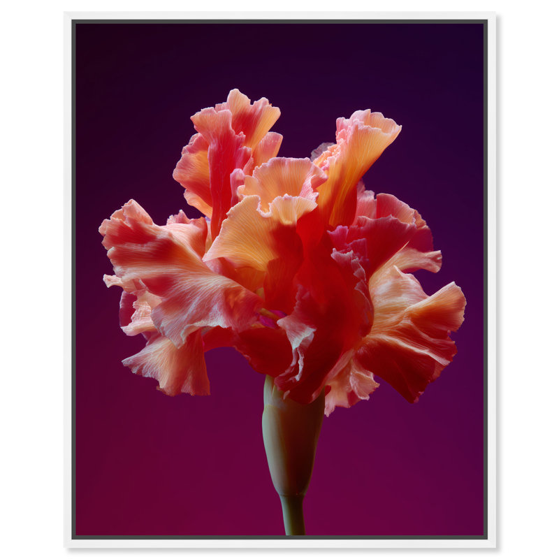 Taffeta Twilight I Print by Oliver Gal, 17"H x 21"W, White Floater Frame